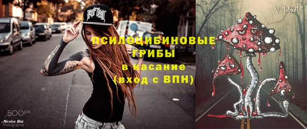 PSILOCYBIN Дубна