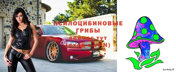 стаф Медвежьегорск